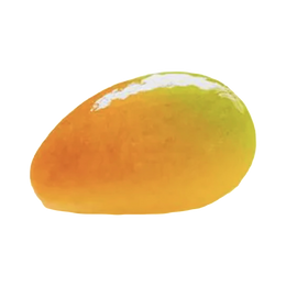 Pâtisserie Mangue Trompe l’oeil 12x95g