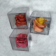 Roses Colorées au Chocolat Blanc Artisanal 24x60g - Boite Cube