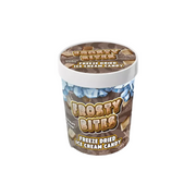 Frosty Bites Freeze Dried Ice Cream Candy 24x40g